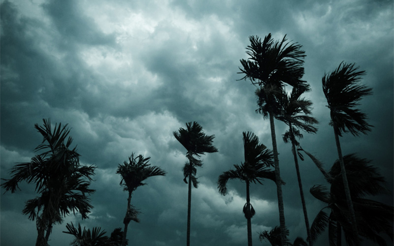 2025 Hurricane Forecast | Briggs & Stratton