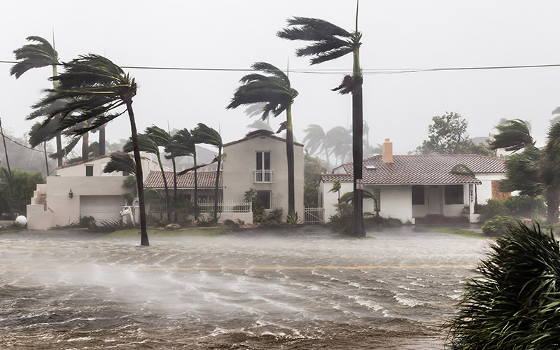 Hurricane Season Prep