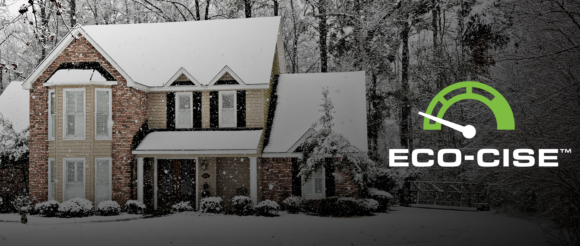 Briggs & Stratton Generator installed