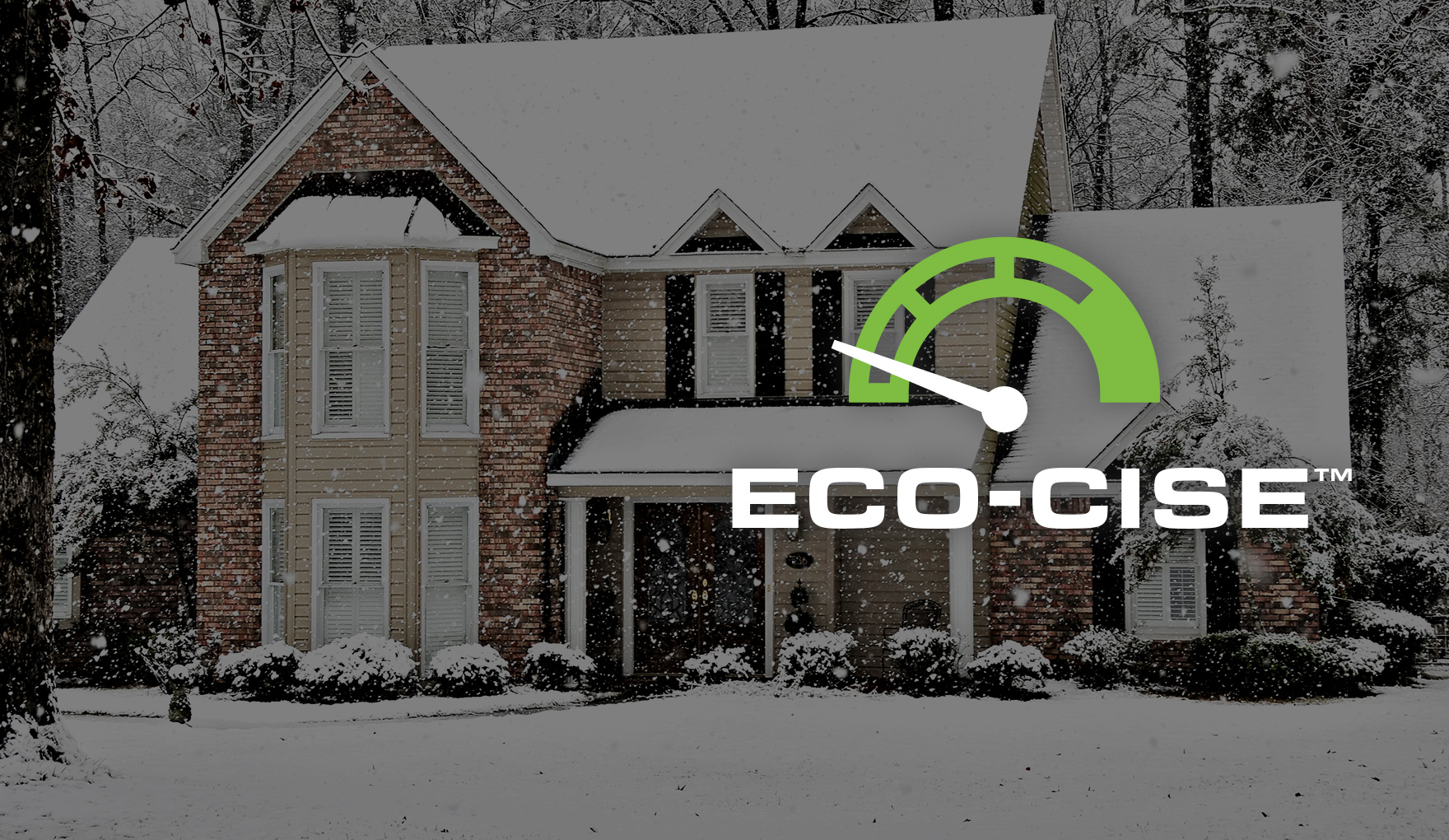 Briggs & Stratton Generator installed