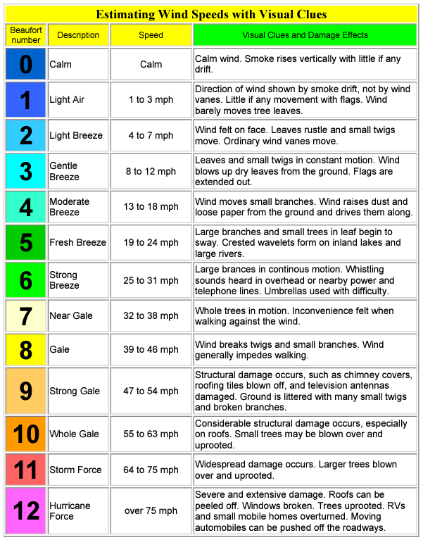 Estimating Wind Speeds with Visual Clues