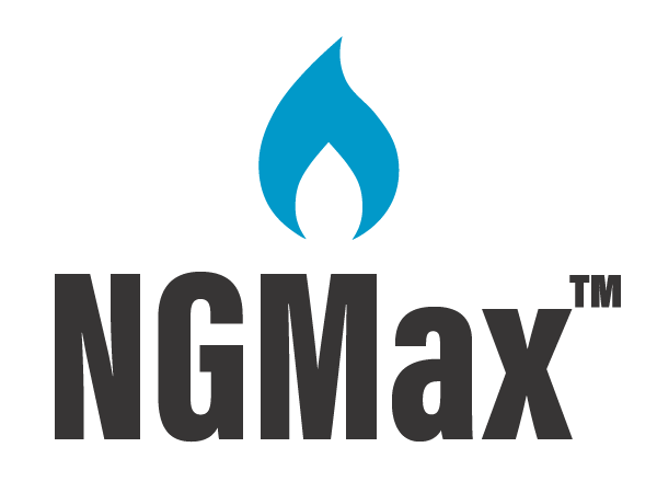 NGMax_Lockup_FullColor_Simple (2)-01