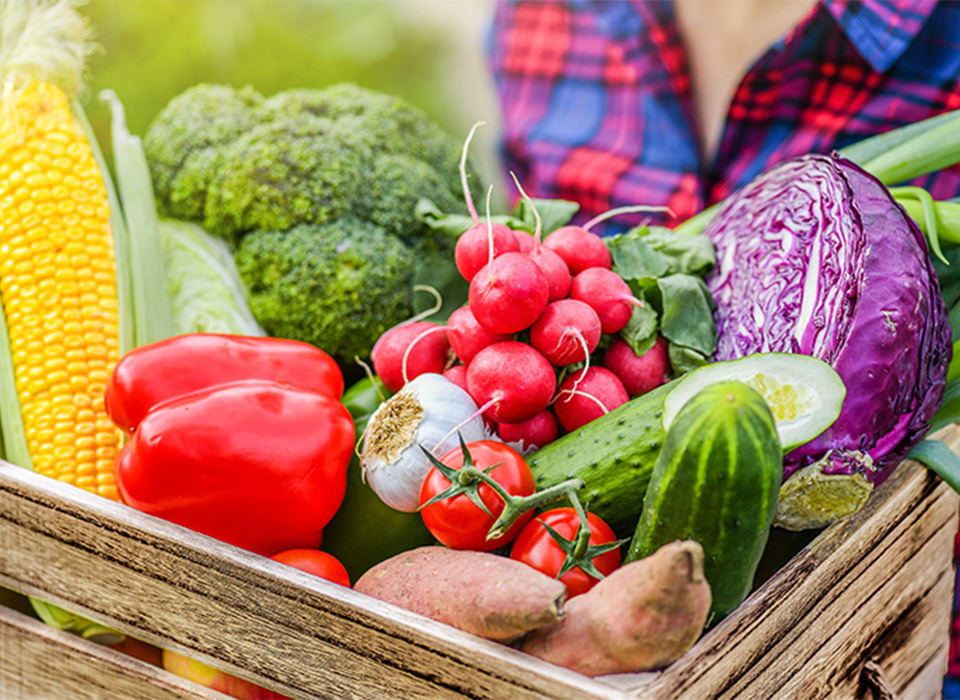 AlegriaFarm_CommAppThumbnail