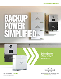 Briggs66-BrochureThumbnailR