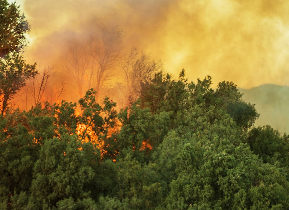 CaliforniaWildfires_CommAppThumbnail