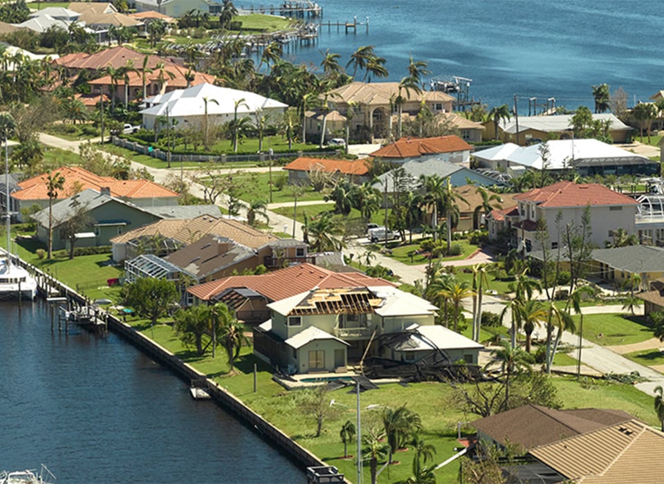 FloridaBackup_CommAppThumbnail