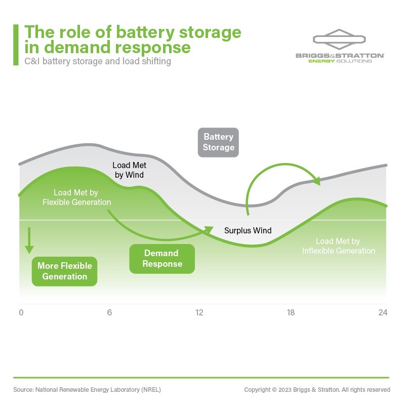 Briggs and Stratton Graphics Set Illustrator
