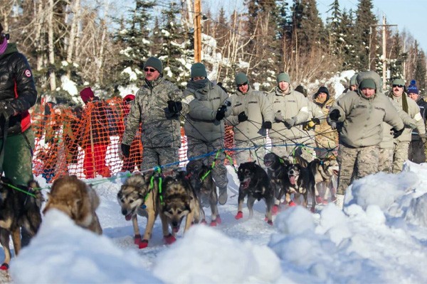 Veterans walking dogs